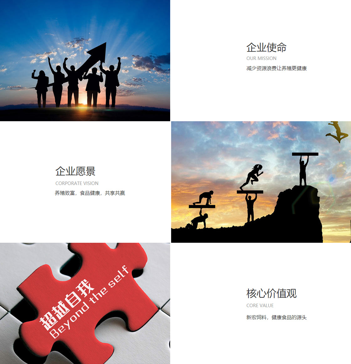 开云入口(图1)